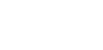 Logo VLV